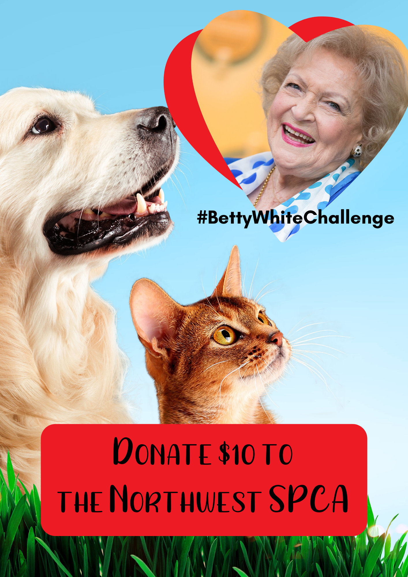 donate-in-bettys-honor